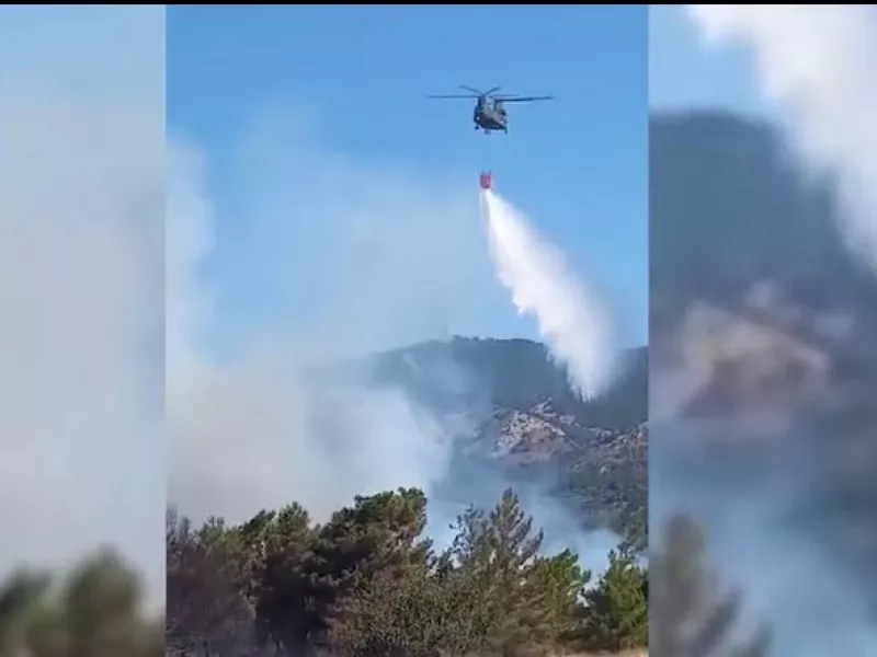 ΡΟΔΟς