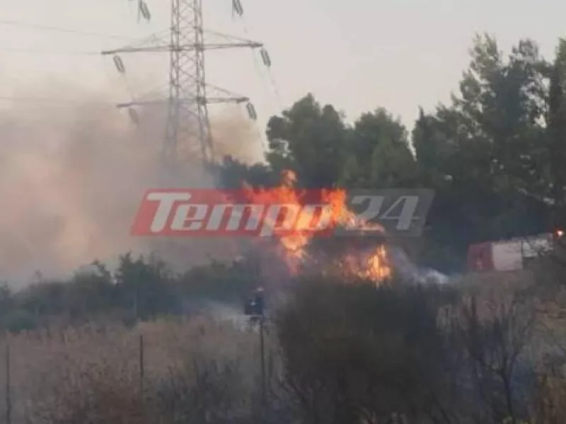 Πάτρα: Συναγερμός για φωτιά κοντά σε σπίτια στο Βελβίτσι 
