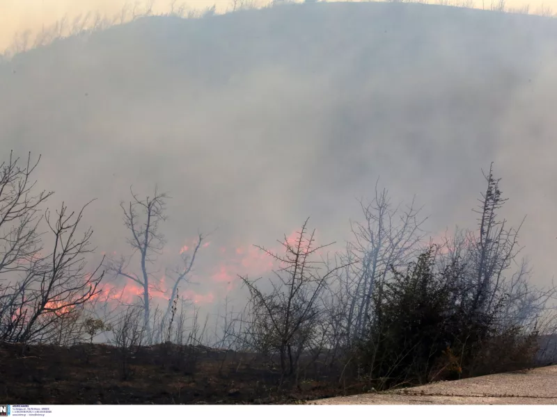Συνεχείς αναζωπυρώσεις στον Έβρο