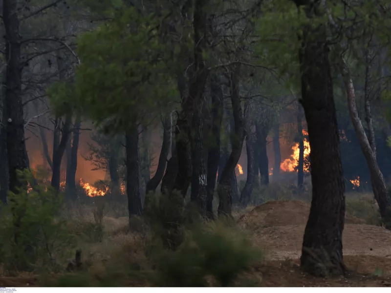 Πάρνηθα