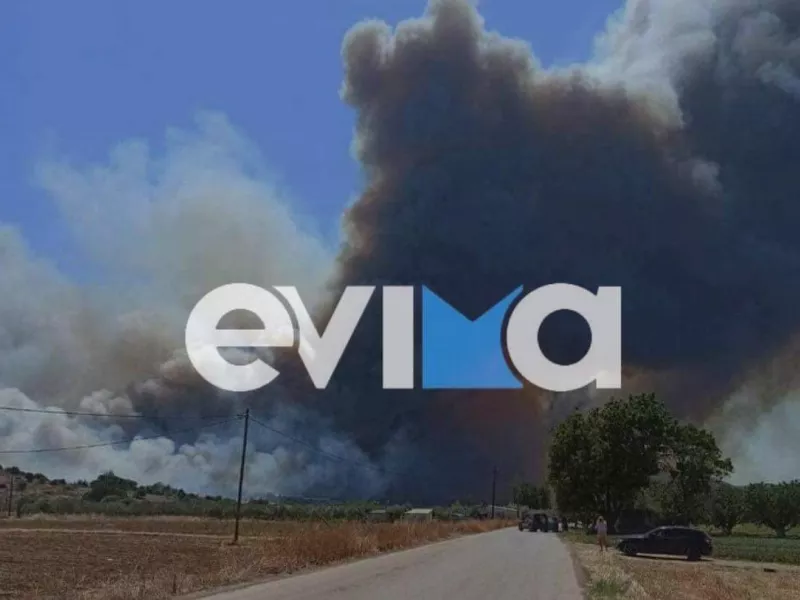 Φωτιά στα Ψαχνά Ευβοίας: Σοβαρές ζημιές σε επιχειρήσεις