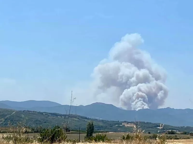 Φωτιά στην Δαδιά Έβρου