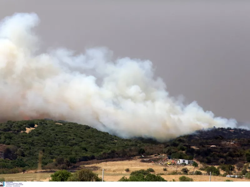 Φωτιά στον Έβρο: Άκαυτο το 42%, του Δάσους της Δαδιάς