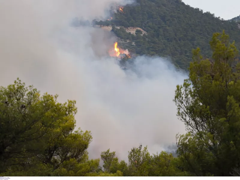 Ελλάδα: Αντιμέτωπη με 105 πυρκαγιές η πυροσβεστική