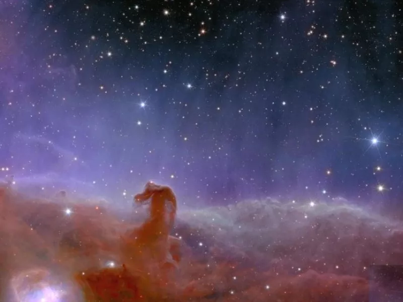 Horsehead nebula