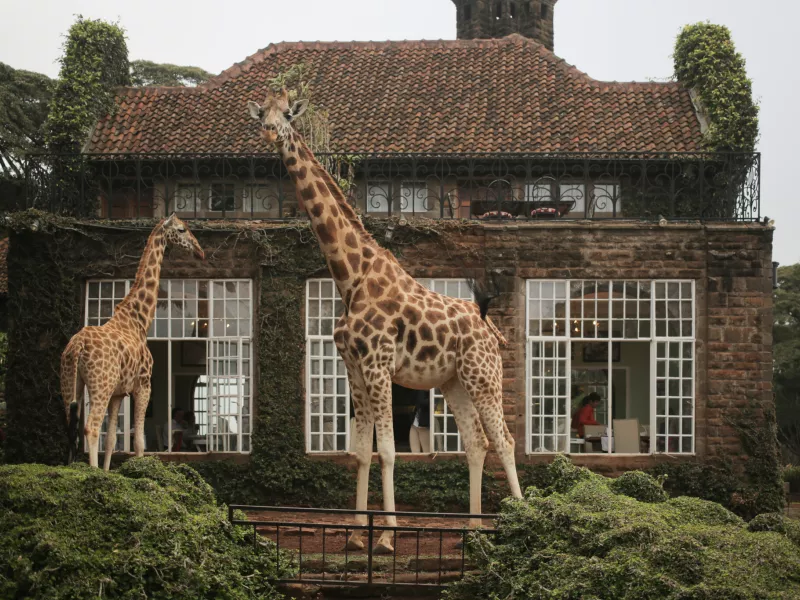 amazing_hotels_kenya