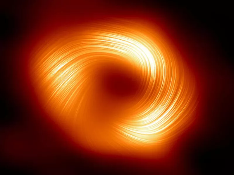 Black Hole