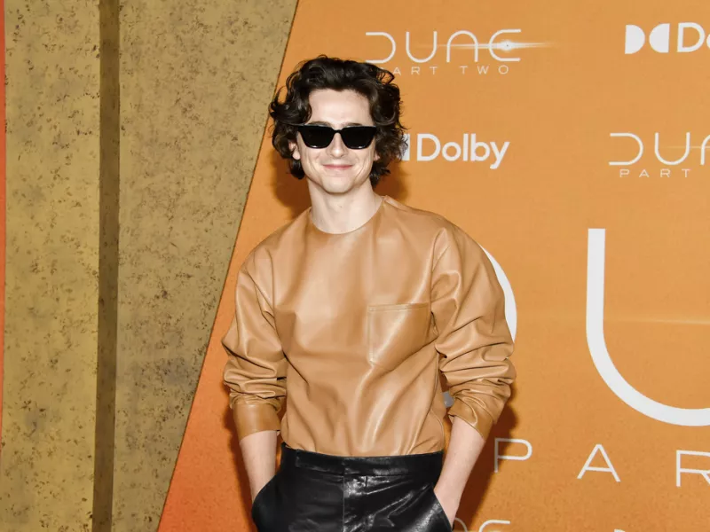Timothée Chalamet