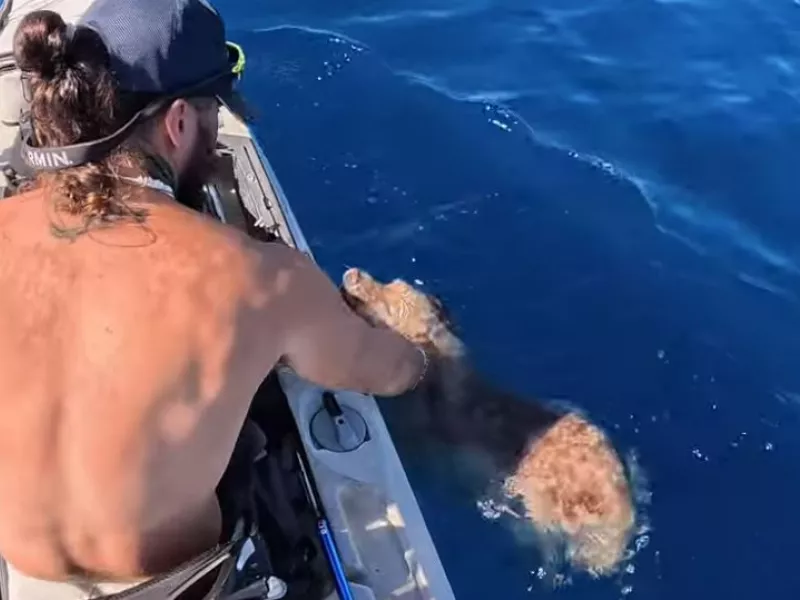 σκύλος