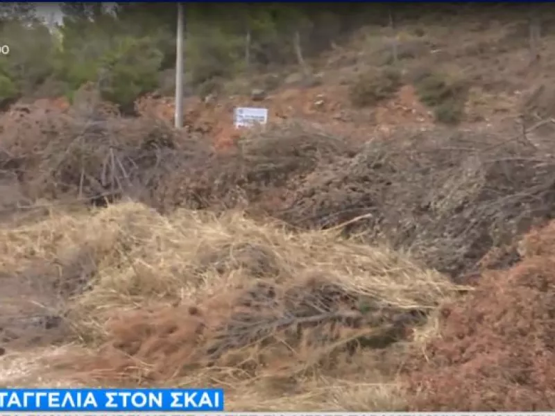 καταγγελία