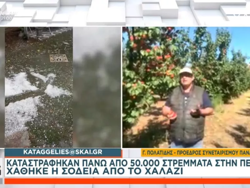Καταγγελία στον ΣΚΑΪ: Χάθηκε η σοδιά από το χαλάζι στην Πέλλα 