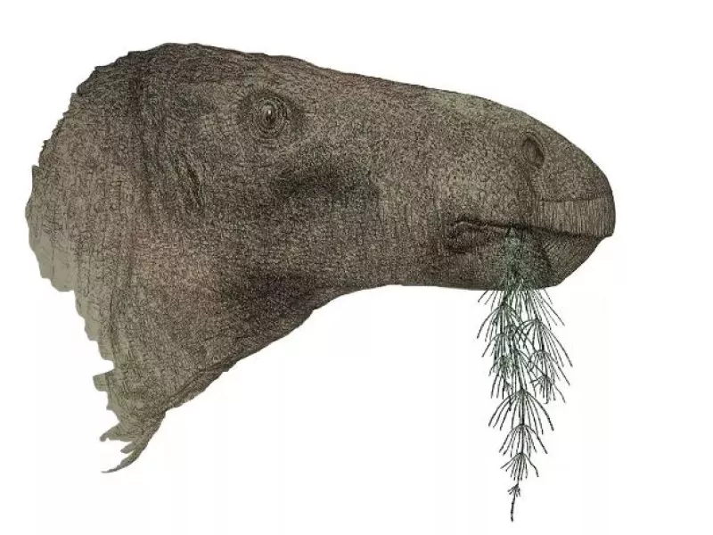 dinosaur