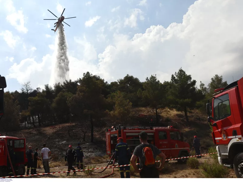Θεσσαλονίκη: Φωτιά στον Λαγκαδά