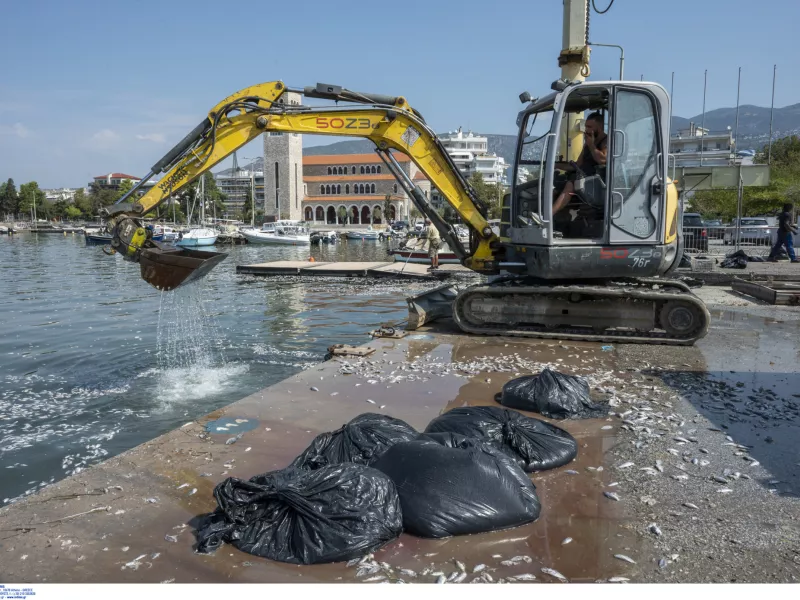 Παγασητικός