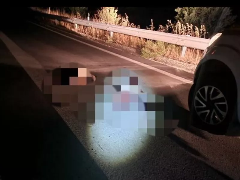 νεκρές αρκούδες