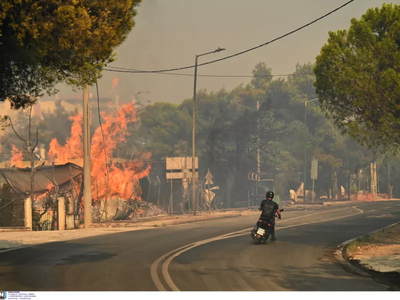 Φωτιά στην Βορειανατολική Αττική: Έκτακτα μέτρα για προστασία θέσεων εργασίας 