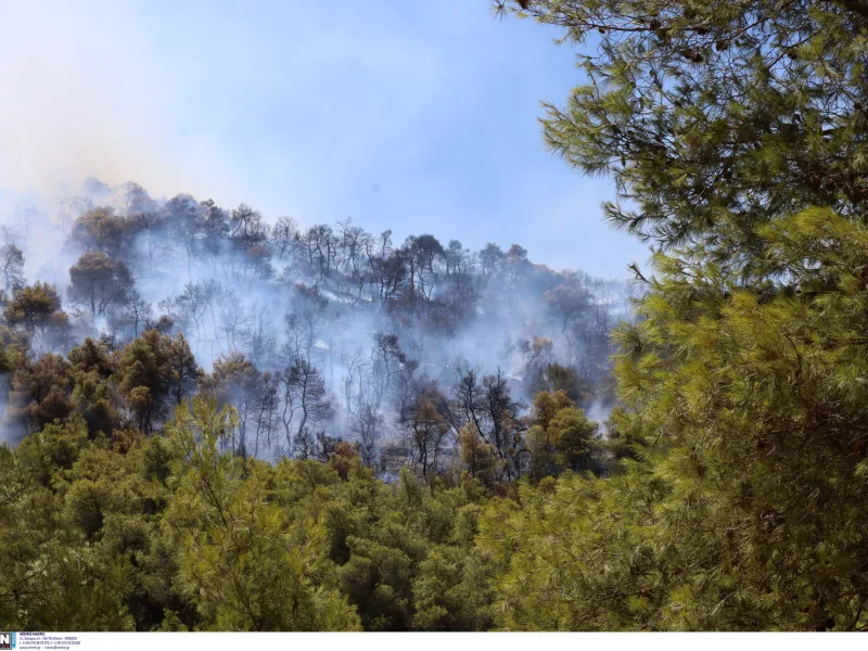 Θεσσαλονίκη: Φωτιά στον Λαγκαδά