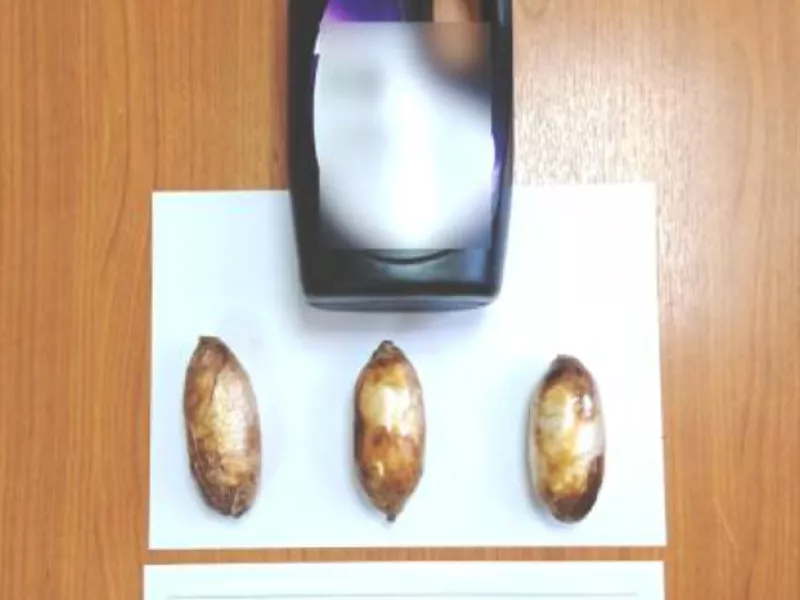Κοκαΐνη