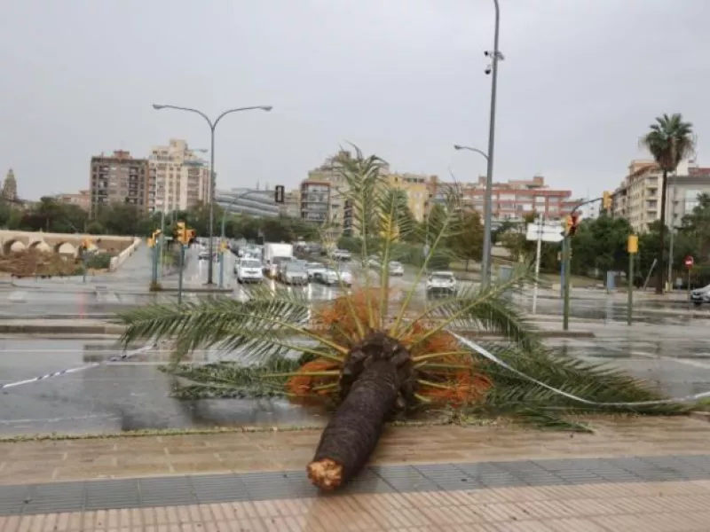 Μαγιόρκα: Δεύτερη σορός εντοπίστηκε σε φαράγγι