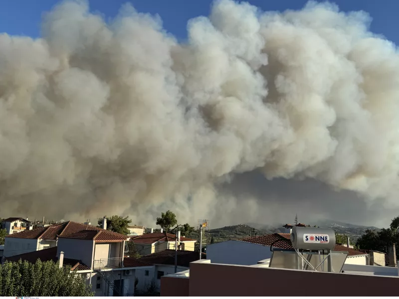 φωτιά, Διόνυσος