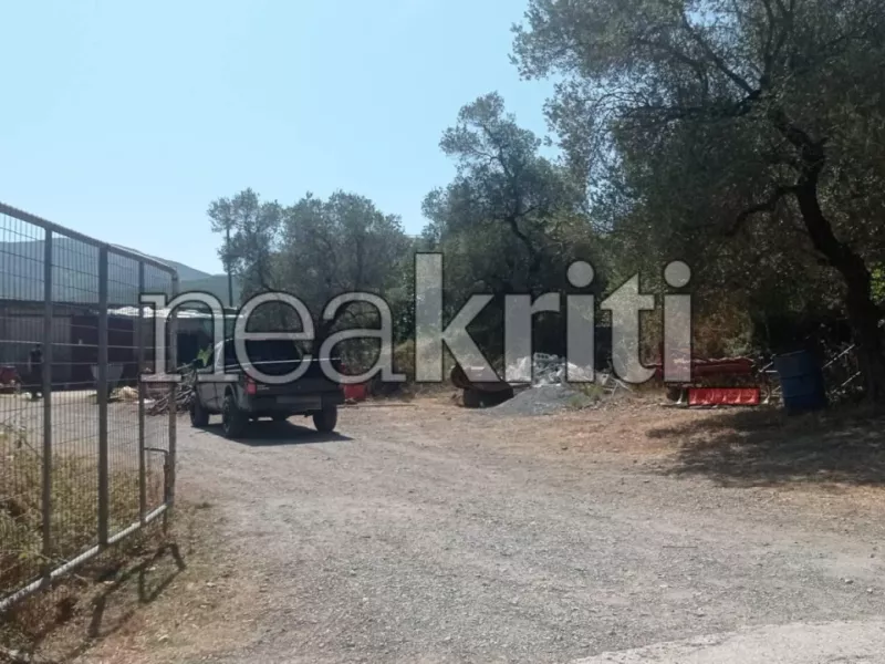 Δολοφονική επίθεση