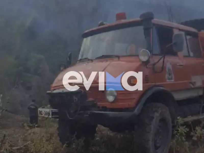 Φωτιά τώρα σε δάσος στην Εύβοια