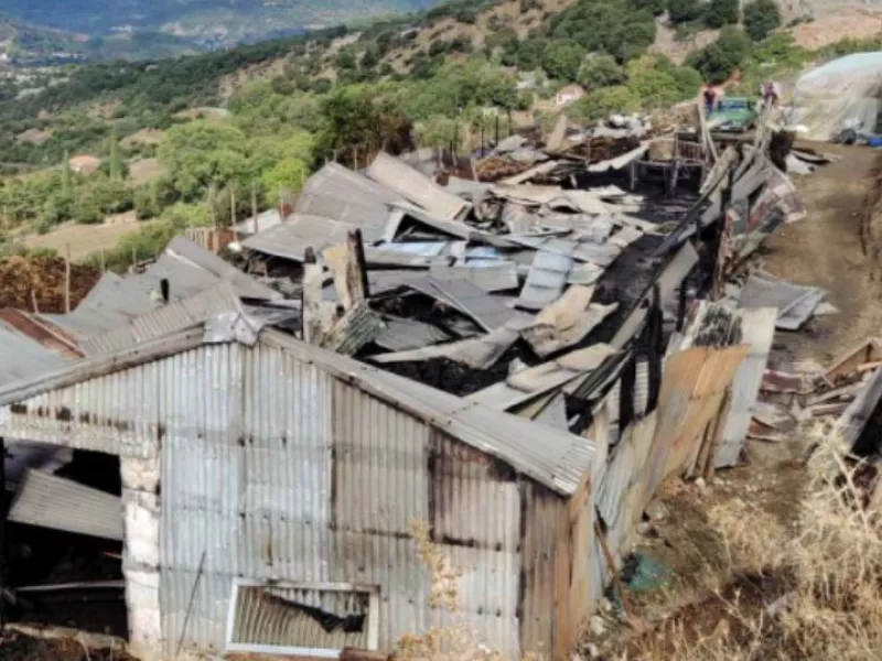 στάνη