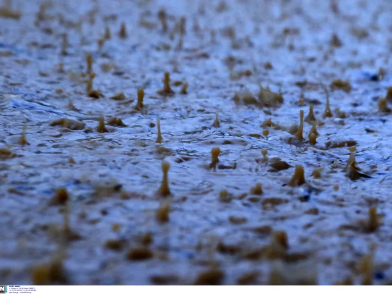 Καιρός σήμερα: Ομίχλες με τοπικές βροχές και καταιγίδες – Αναλυτική πρόγνωση