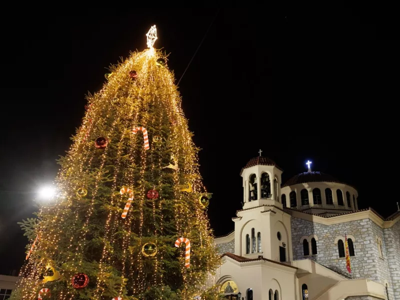 Τα χριστουγεννιάτικα δέντρα «επιστρέφουν» στους δημότες	