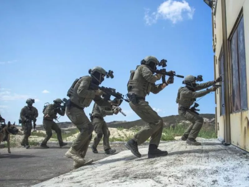 IDF
