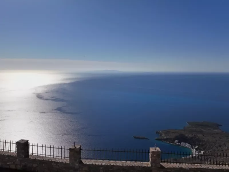 Κρήτη: 3 νεκρά δελφίνια ξεβράστηκαν σε παραλία των Χανίων