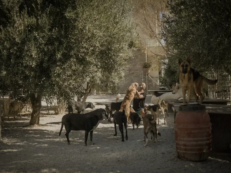 ντοκιμαντέρ «Takis.»