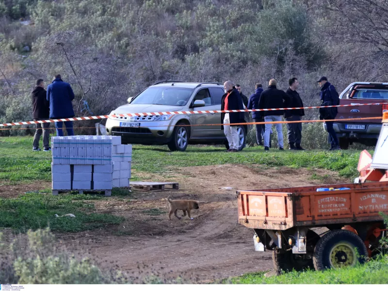 Τύρναβος