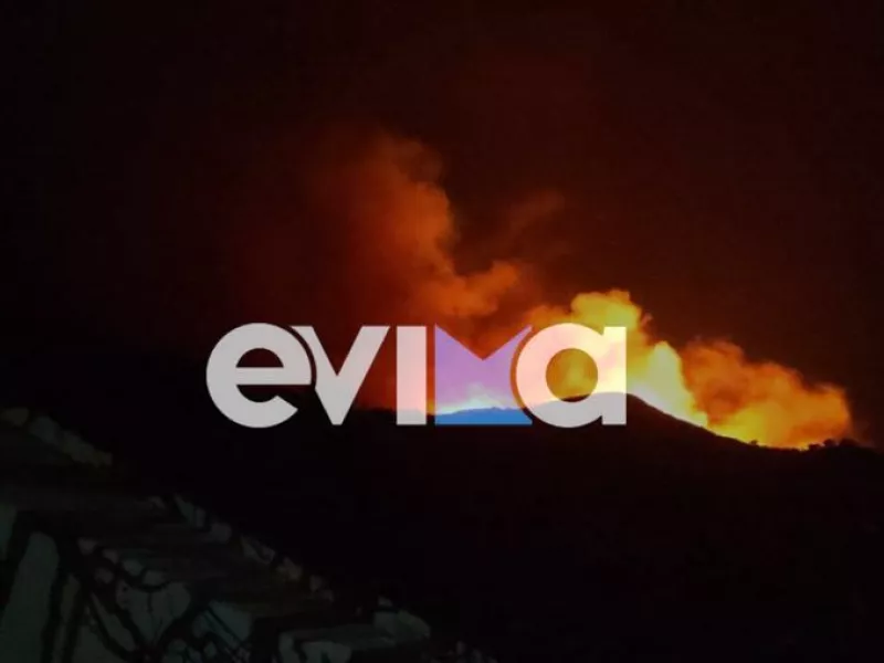 Εύβοια: Φωτιά σε δασική έκταση στους Καλλιανούς 