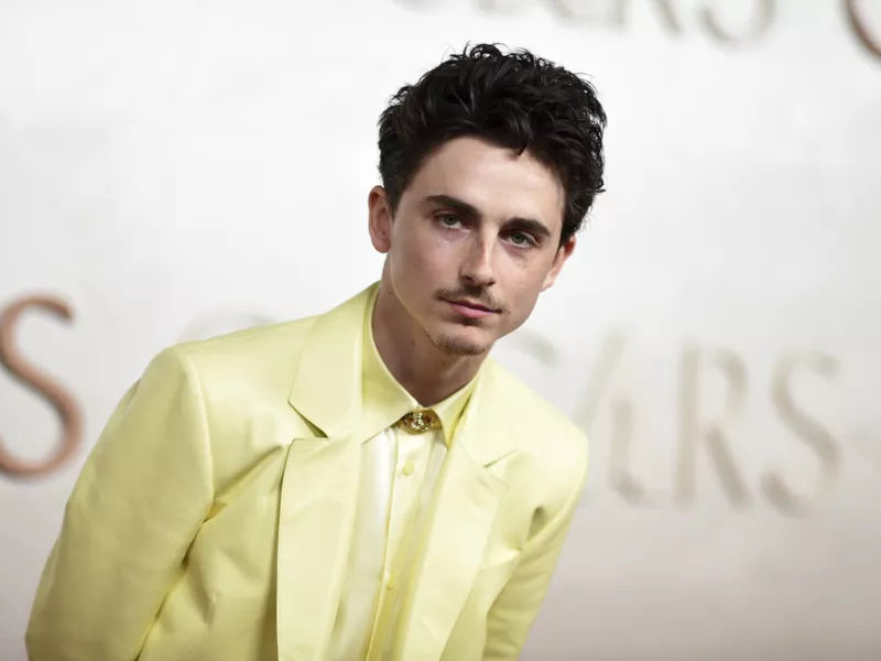 Timothee Chalamet