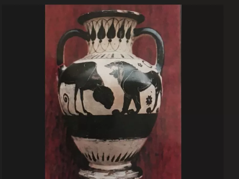 αμφορέας