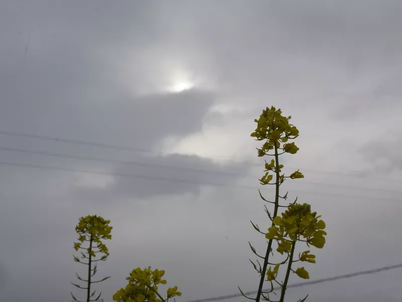 Καιρός