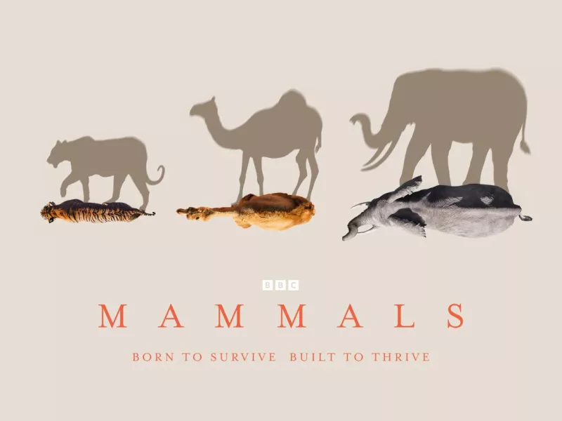 mammals