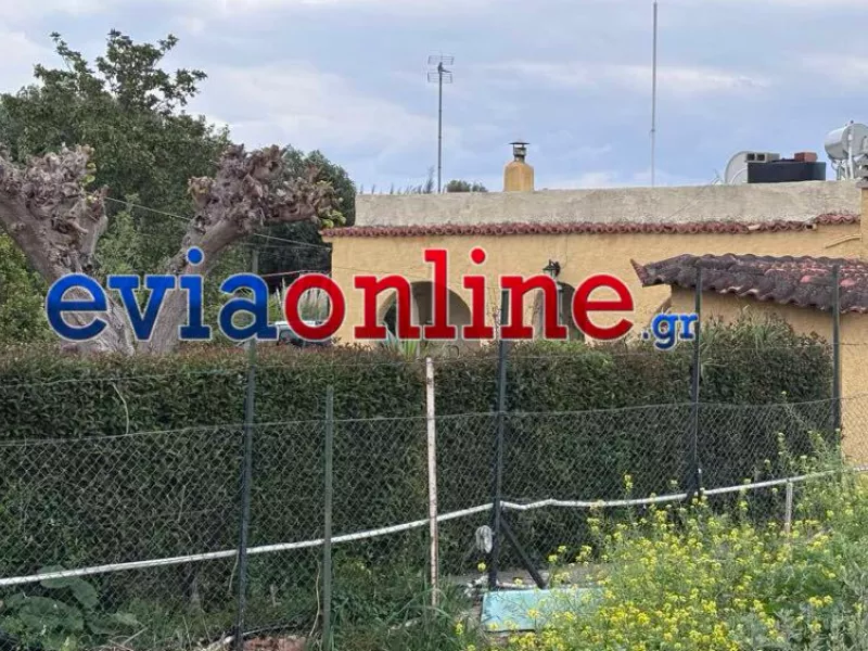 Χαλκίδα