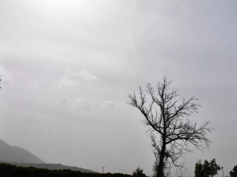 Αφρικανική σκόνη 