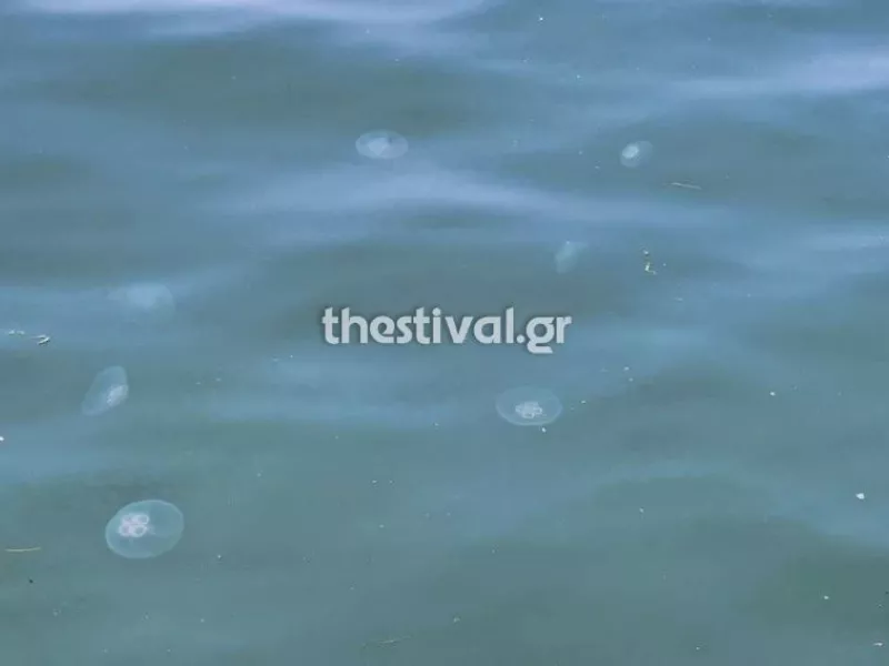 Μέδουσες