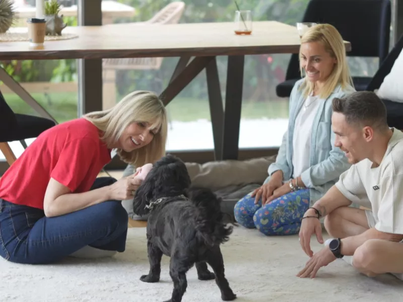 Pet Stories