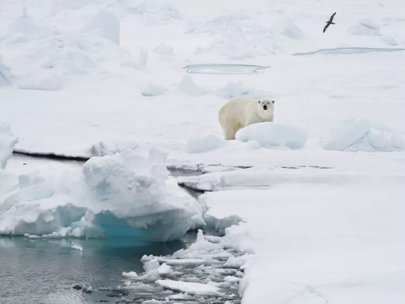 Svalbard