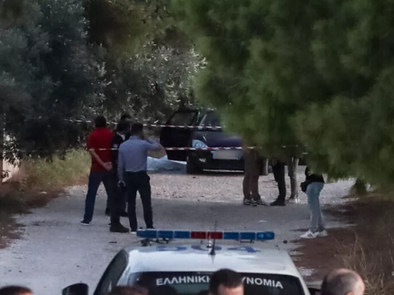 τουρκική μαφία