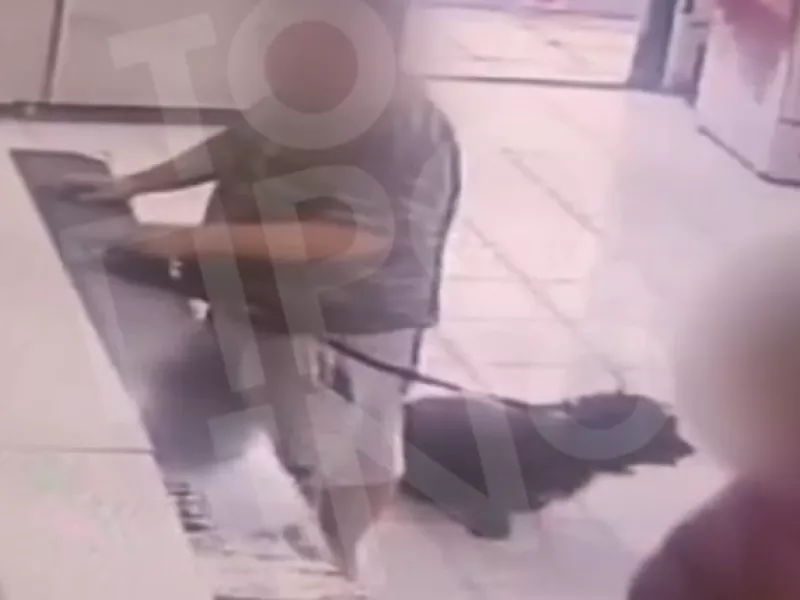 Μητροκτόνος