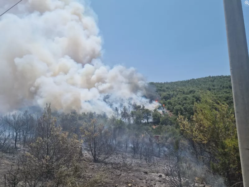 Φωτιά στο Γραμματικό 