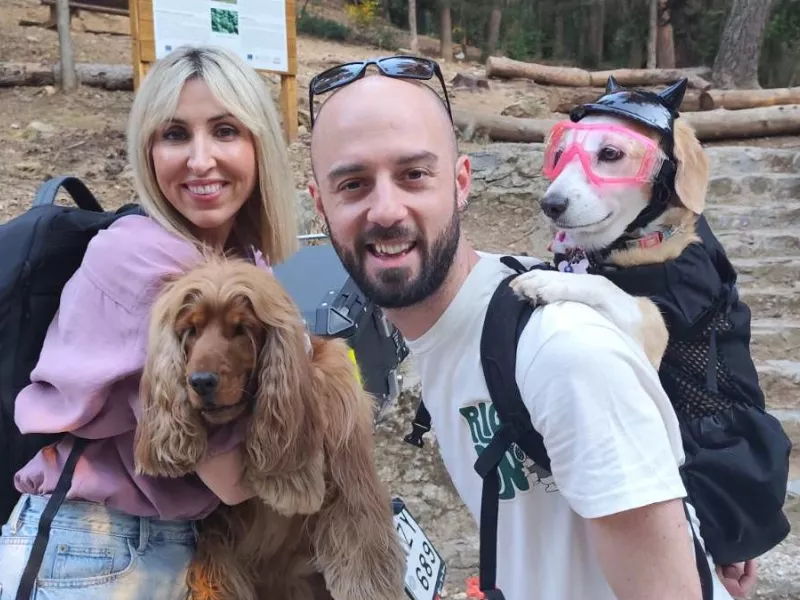 Pet stories