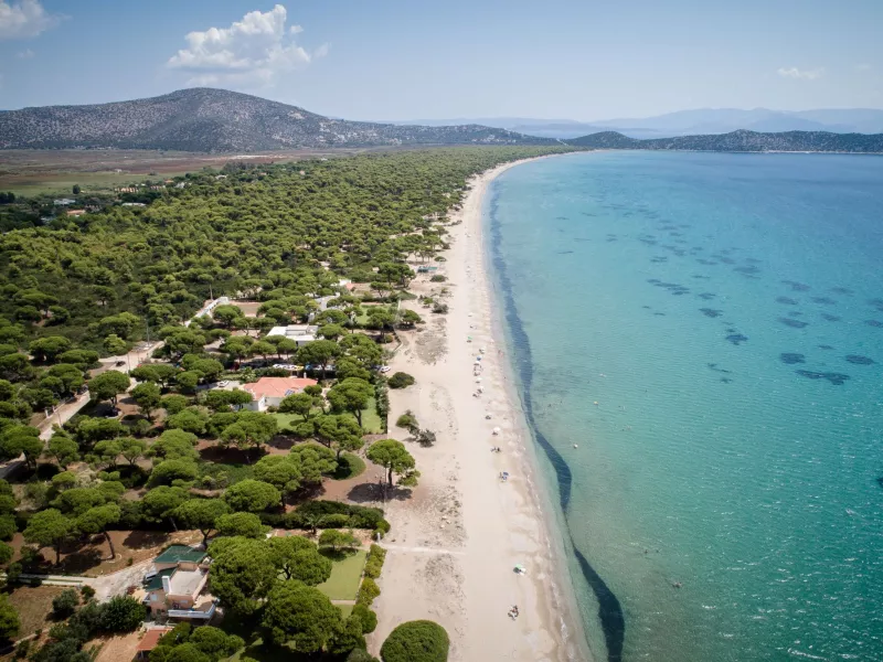 Κατεπείγουσα προκαταρκτική έρευνα για αυθαίρετα στον Σχινιά 