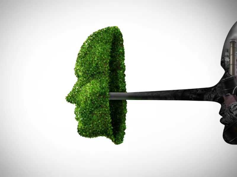 Environmental fraud or green hypocricy