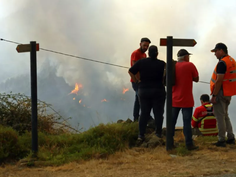 Δασική φωτιά Πορτογαλία